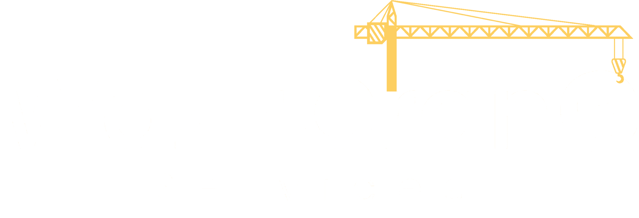 wazir crane services