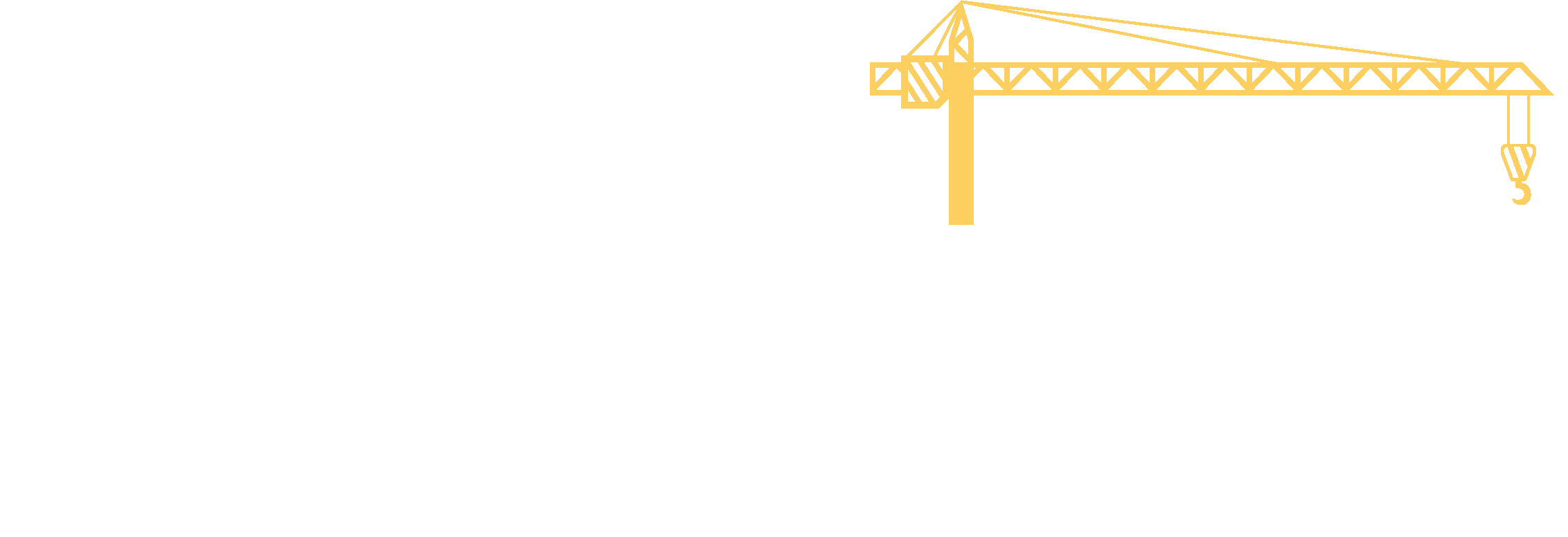 wazir crane services